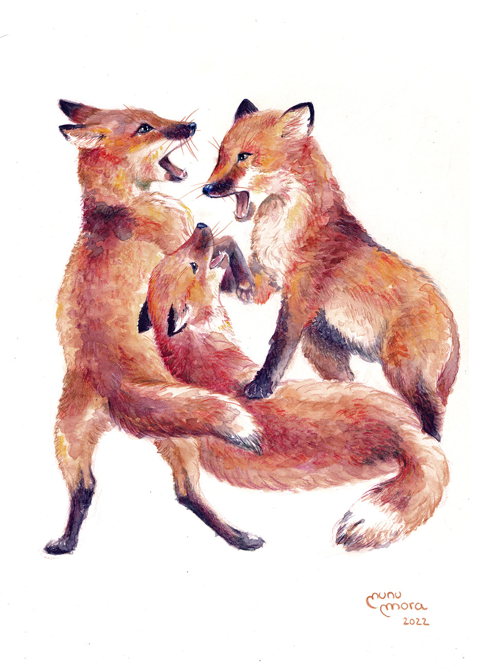 Zorritos Acuarela Obra Original