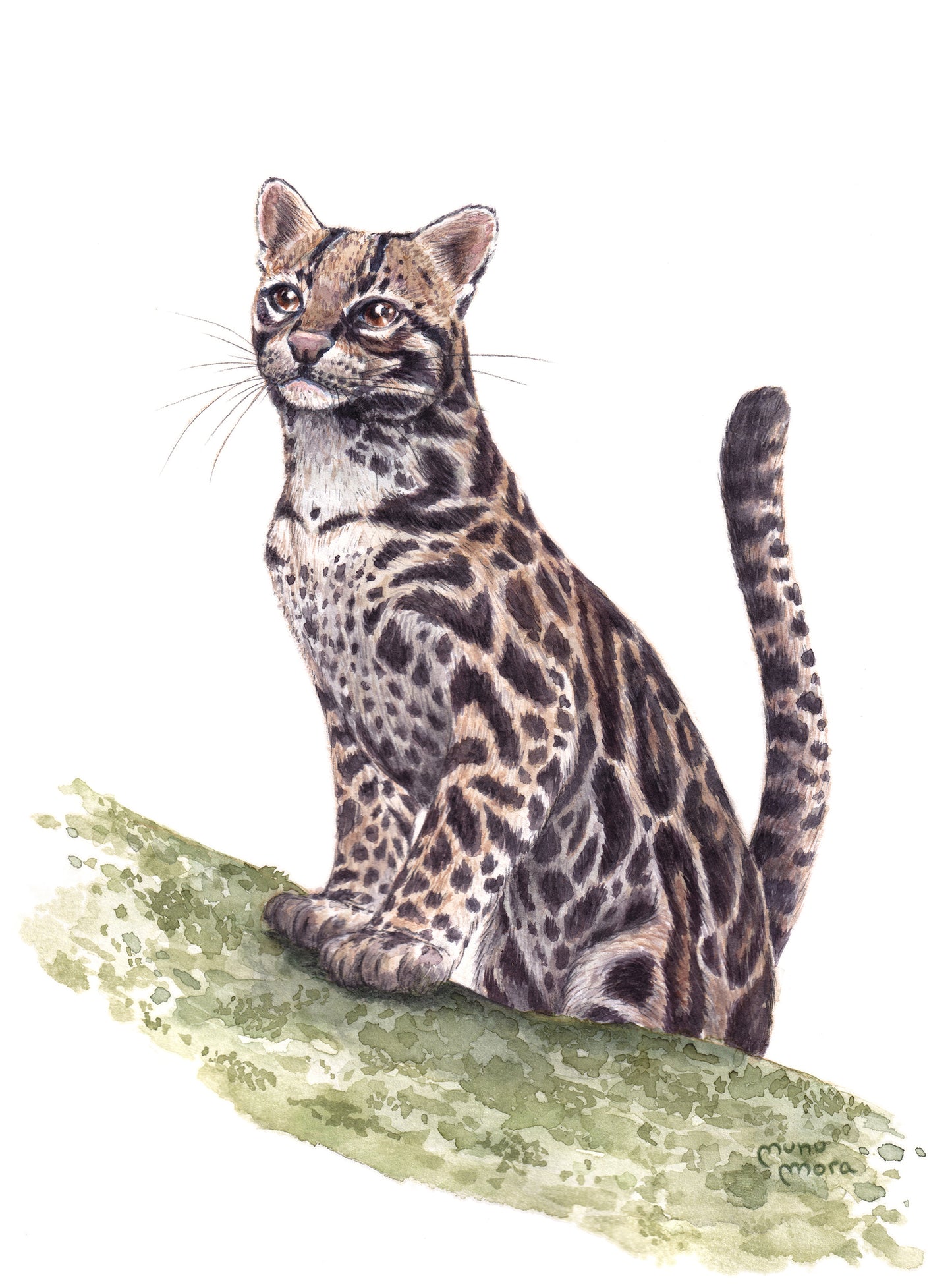 Ocelote Acuarela Obra Original