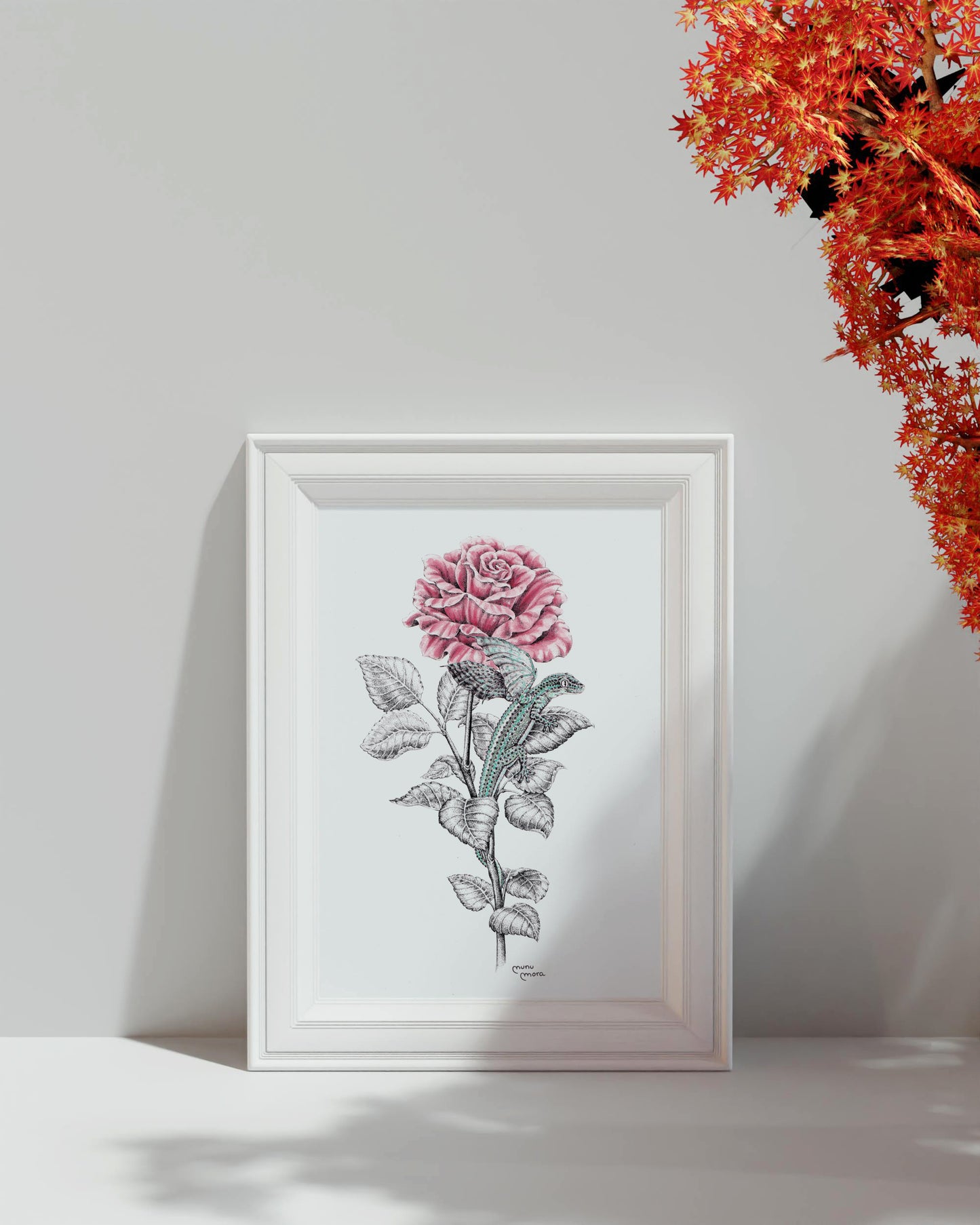 Dragonet de Sant Jordi