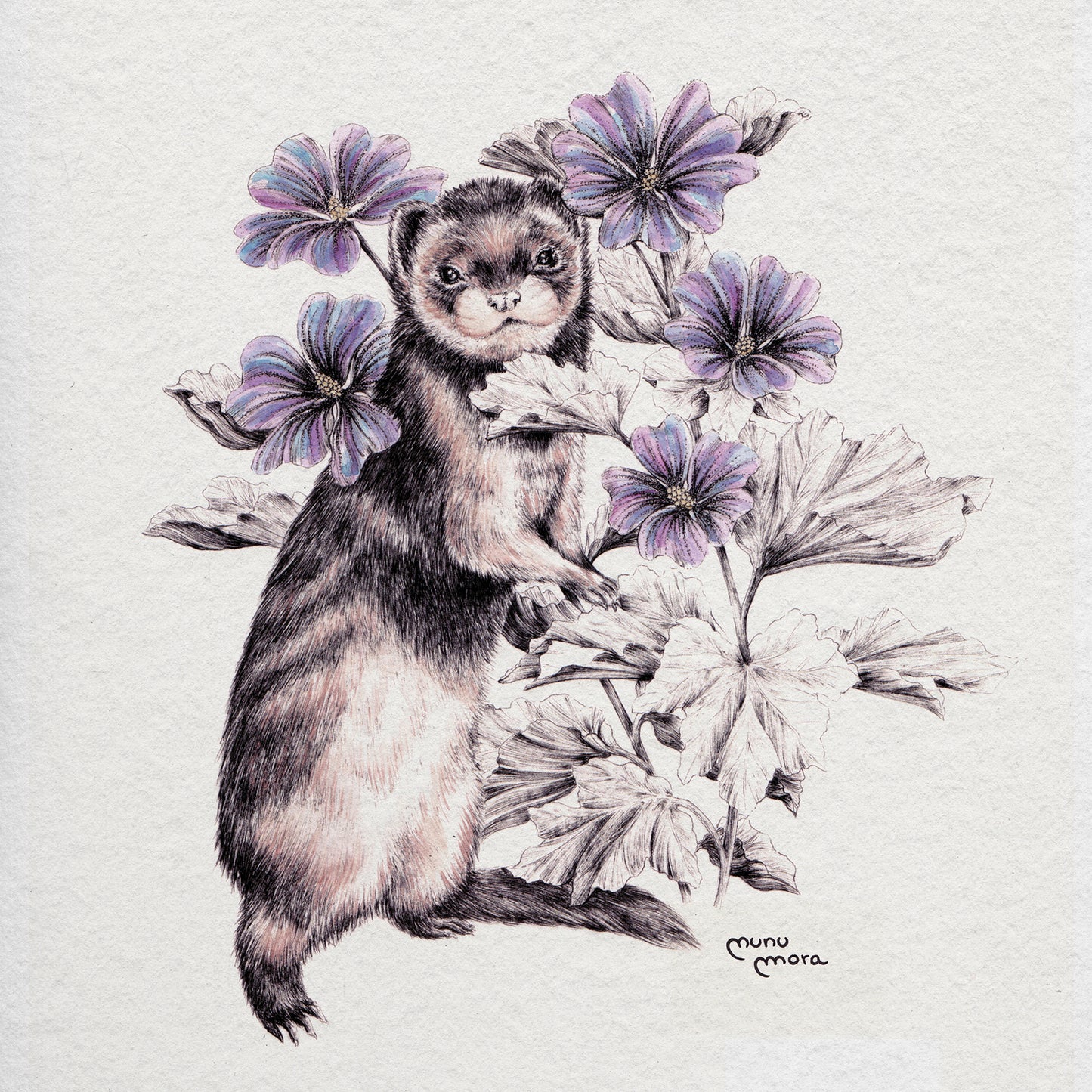 Ferret and violets