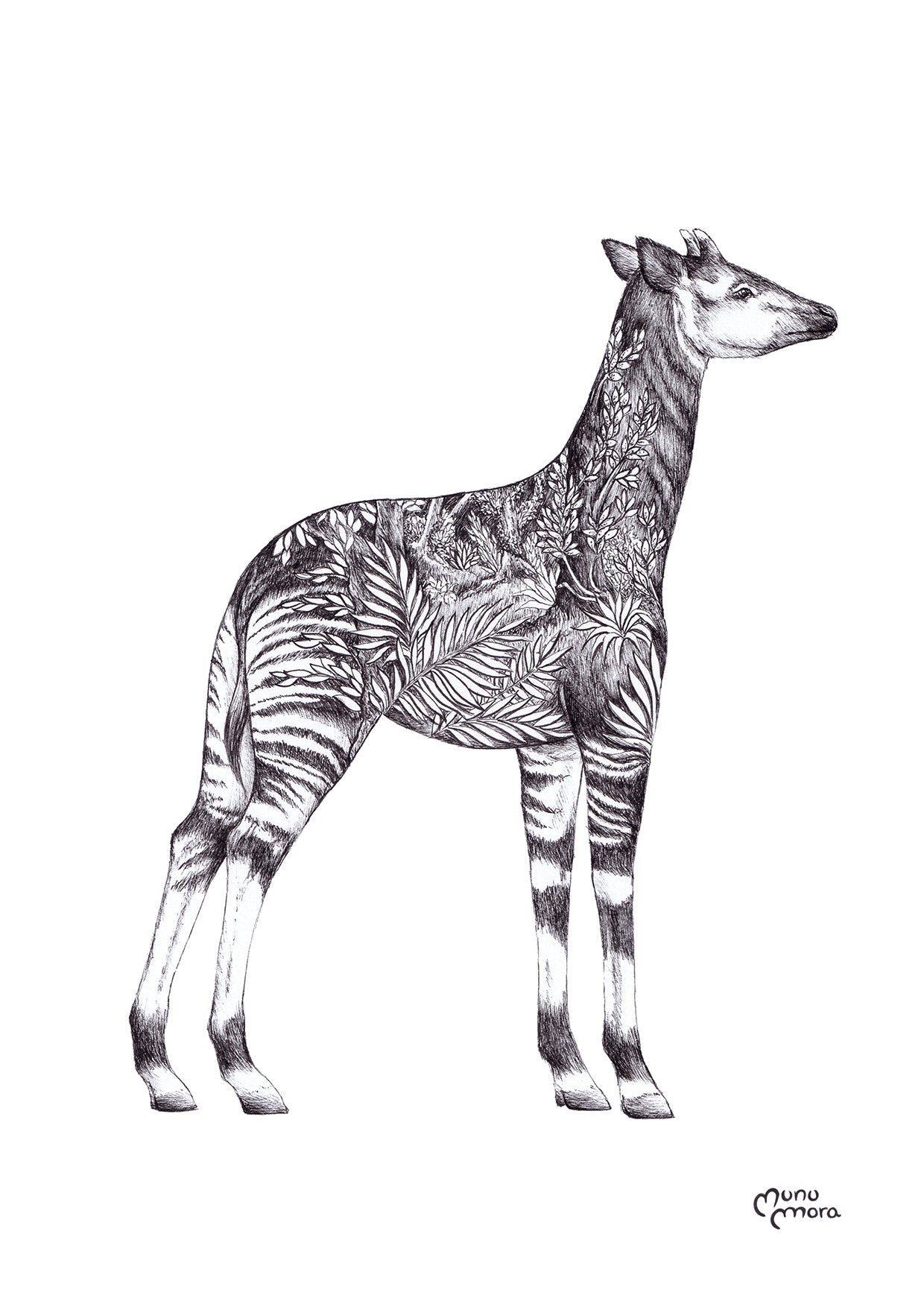 Okapi