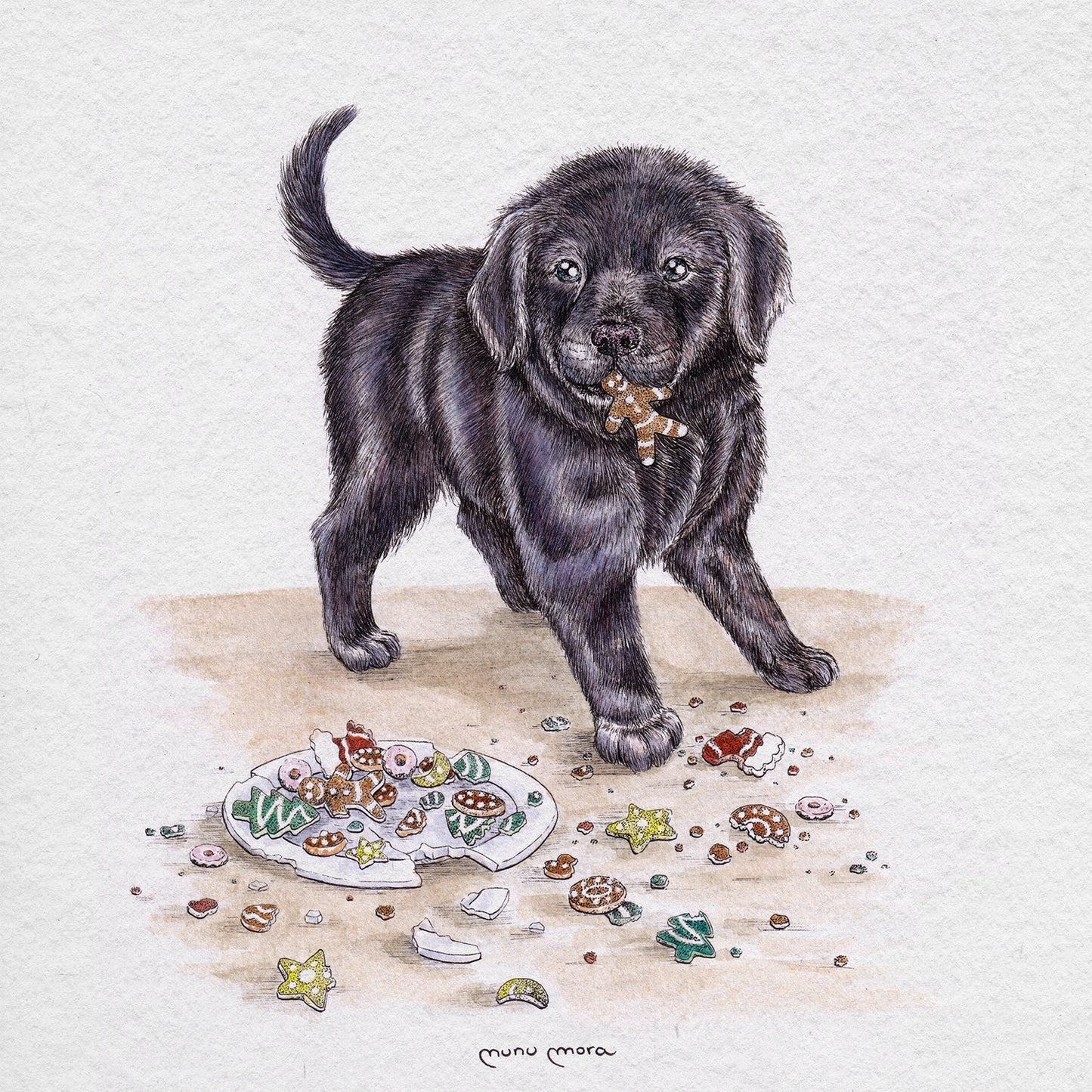 Perrito devora-galletas