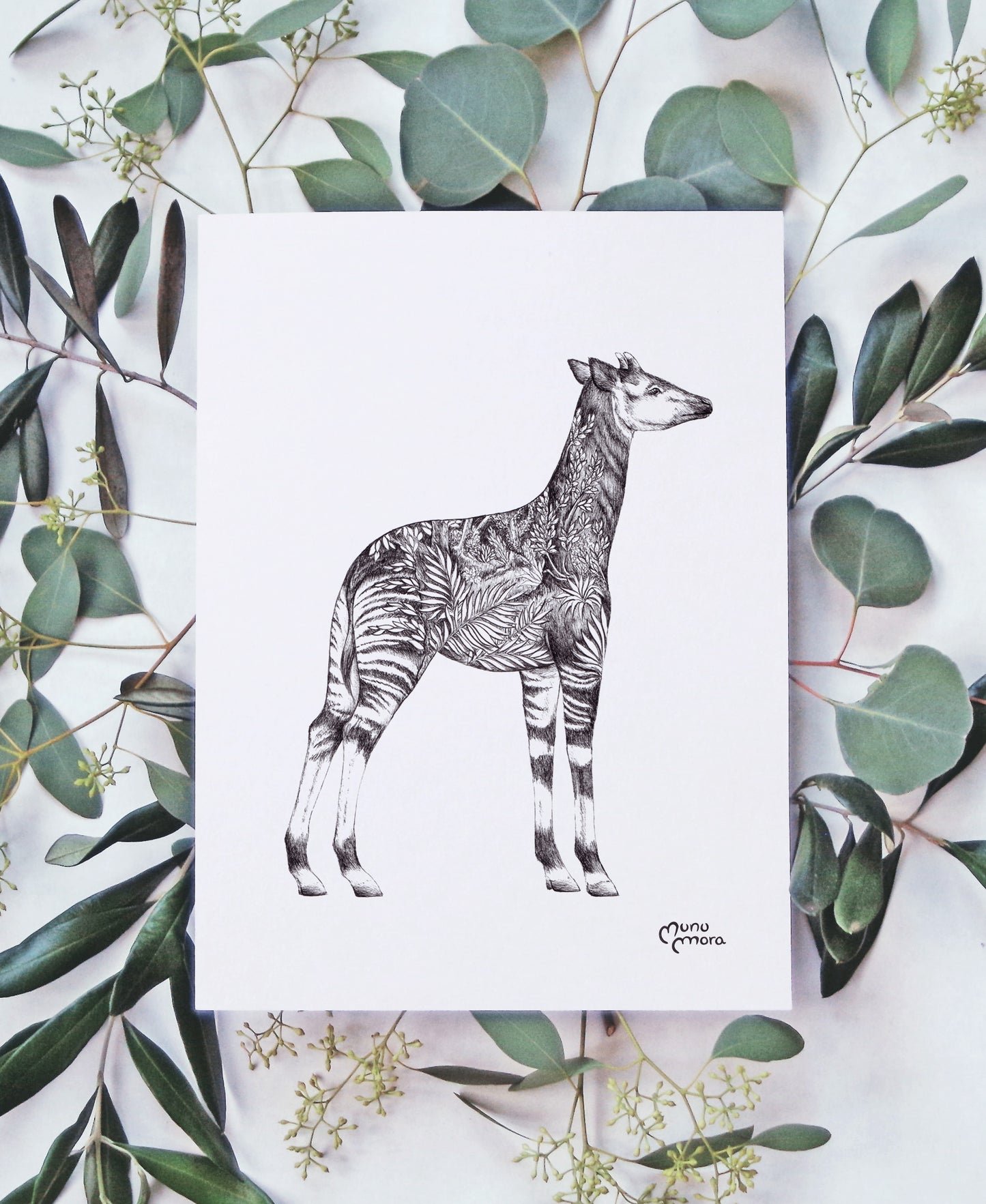 Okapi