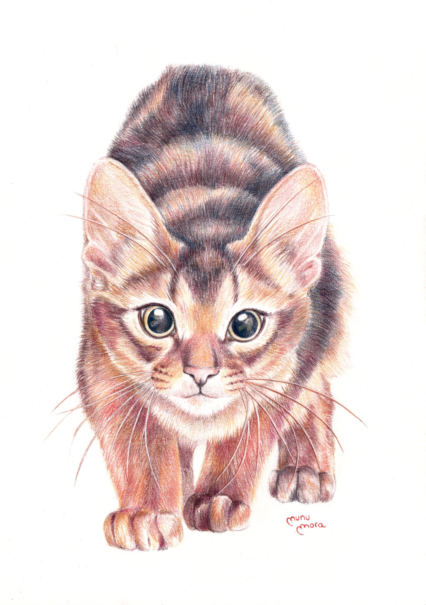 Gatito Obra Original