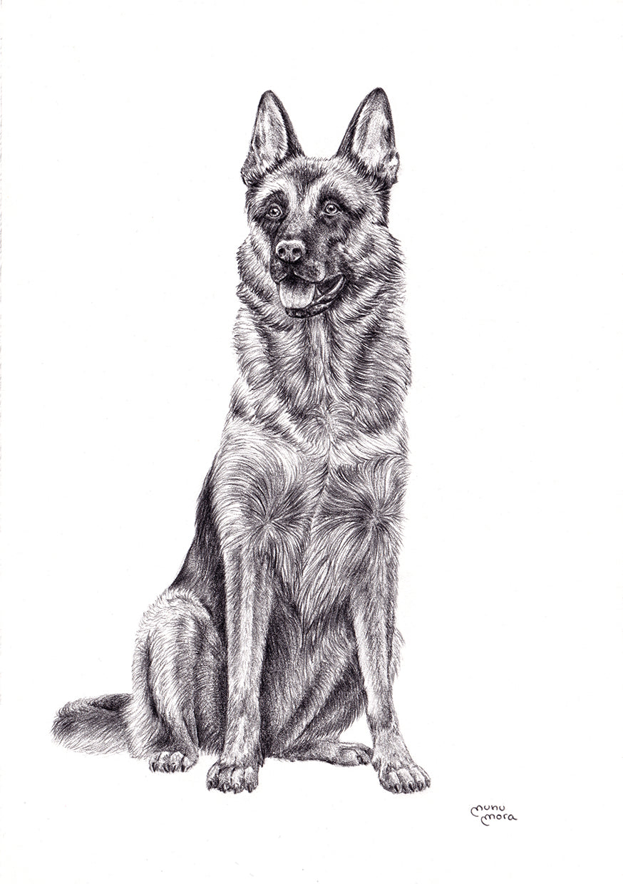 Pastor Alemán Obra Original