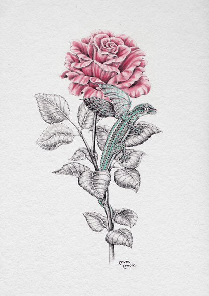 Dragonet de Sant Jordi