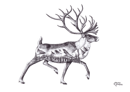 Caribou