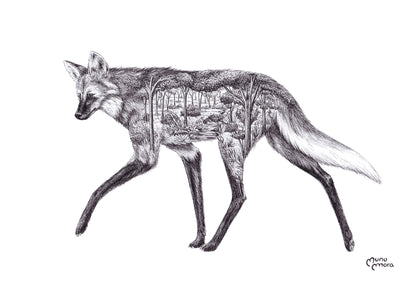 Lobo de crin