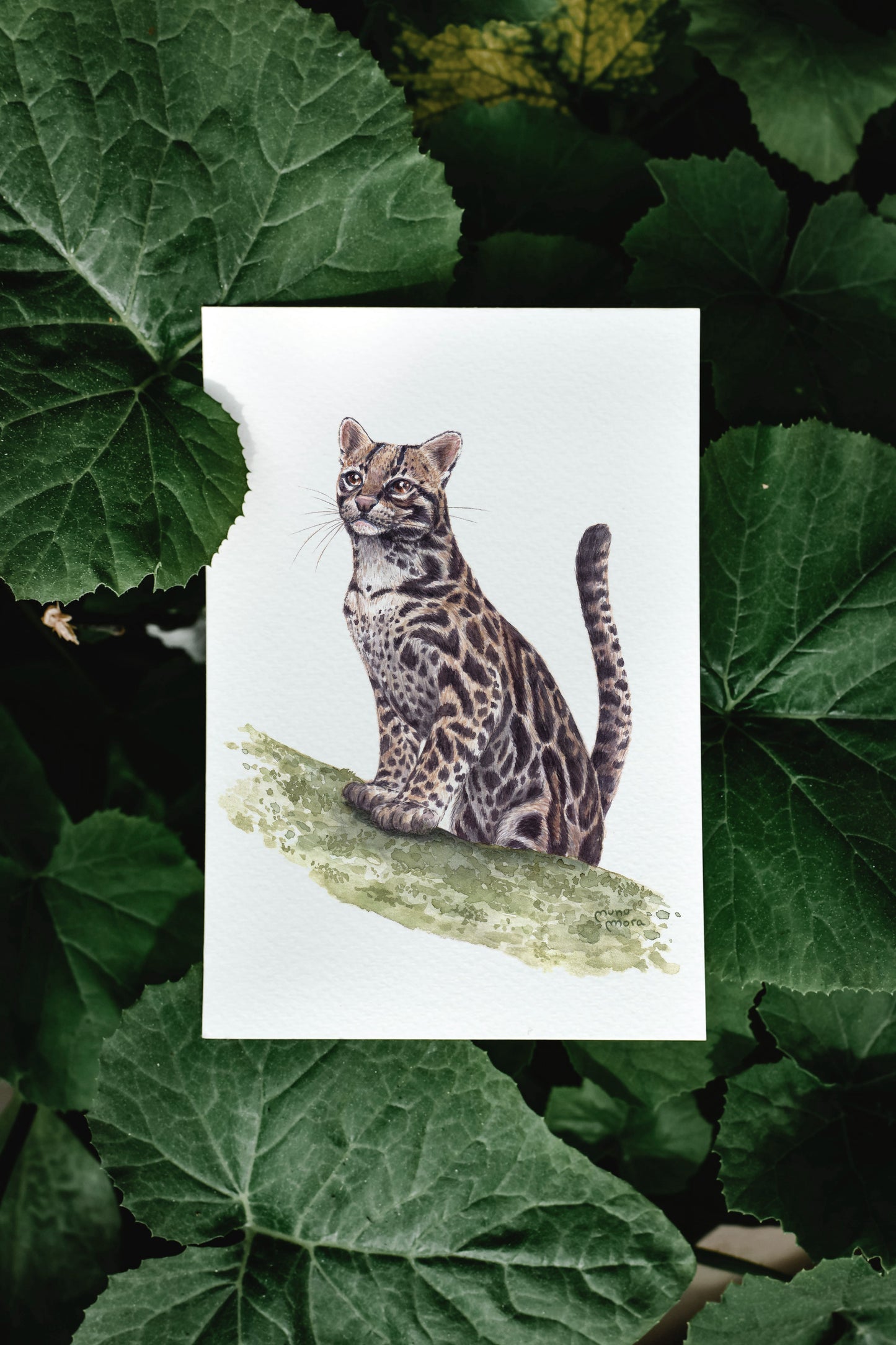 Ocelote Acuarela Obra Original