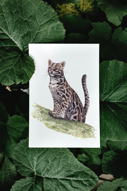 Ocelote Acuarela Obra Original