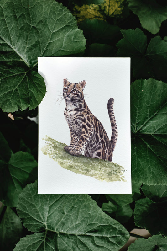 Ocelote Acuarela Obra Original