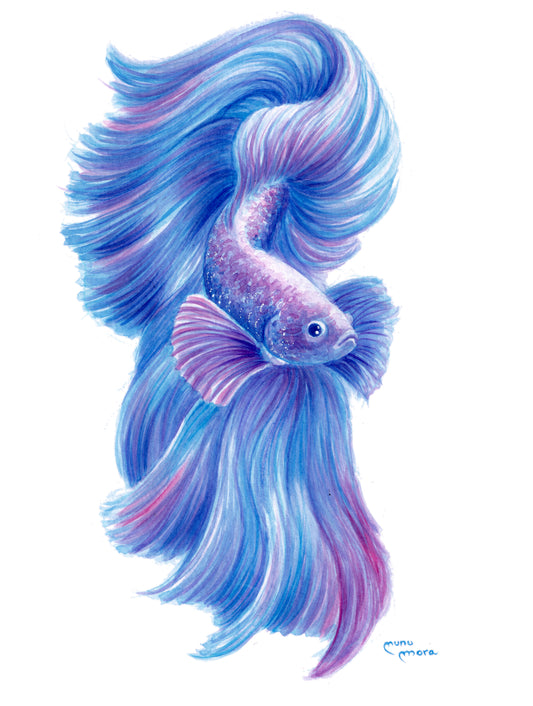 Pez beta Obra Original