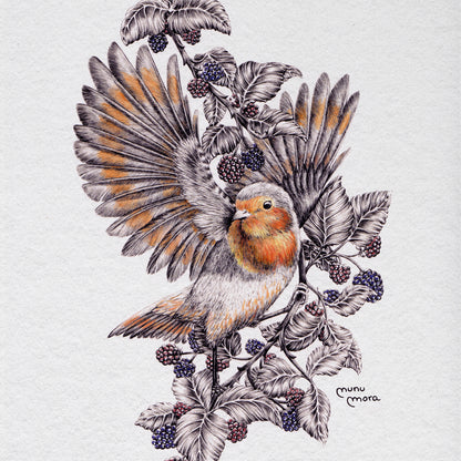 Robin and berries
