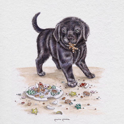 Perrito devora-galletas