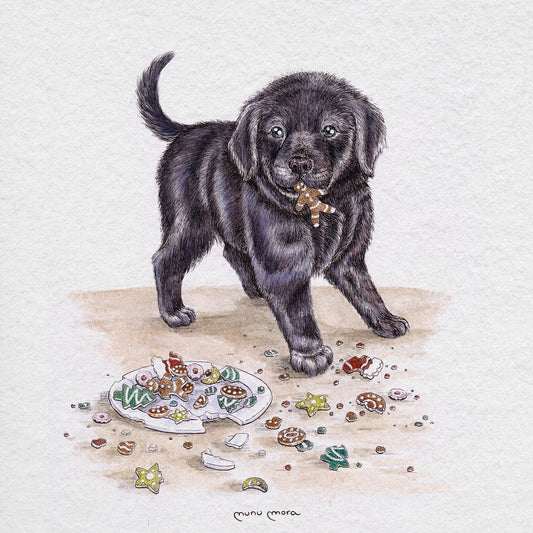 Perrito devora-galletas