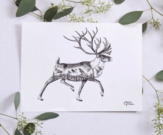 Caribou