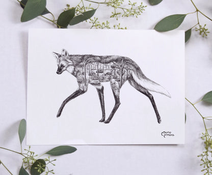 Lobo de crin