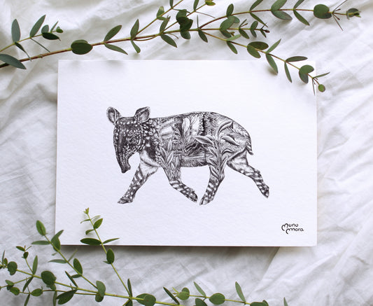Tapir