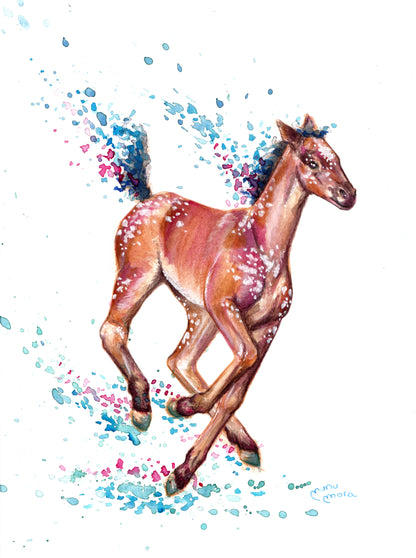 Potro Appaloosa Acuarela Obra Original