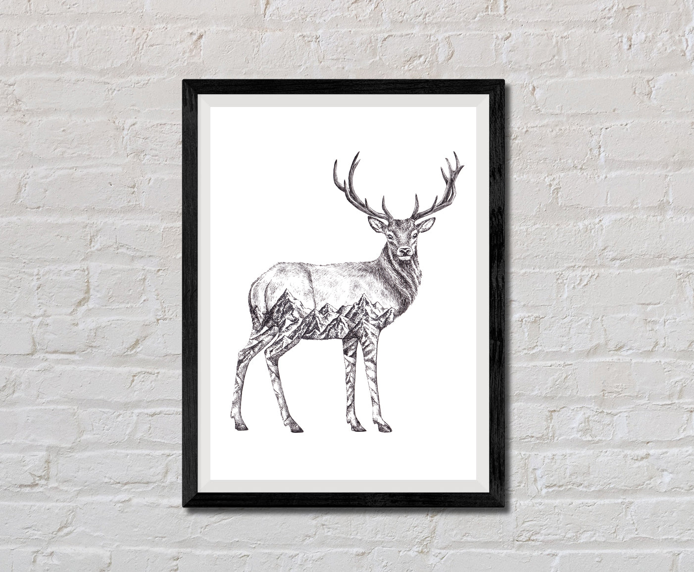 Deer