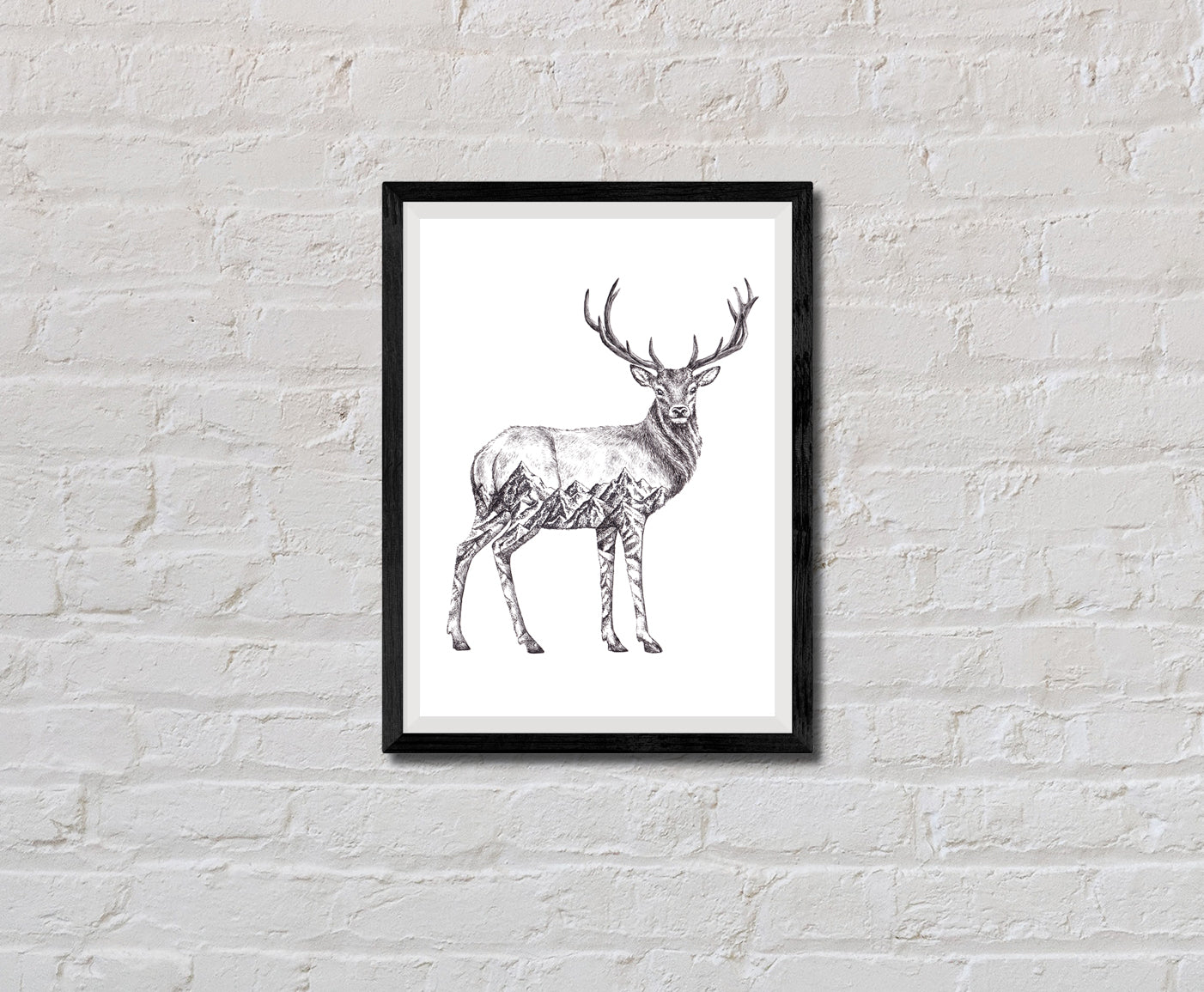 Deer