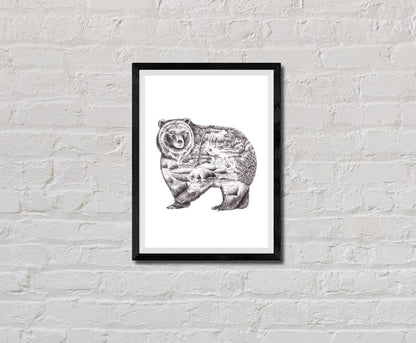 Bear