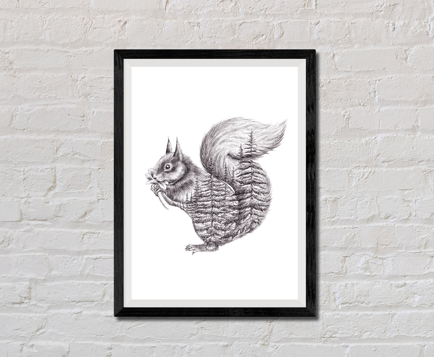 Squirrel