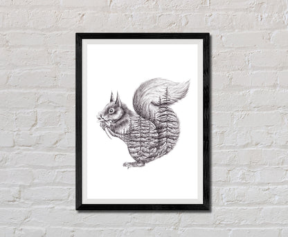Squirrel