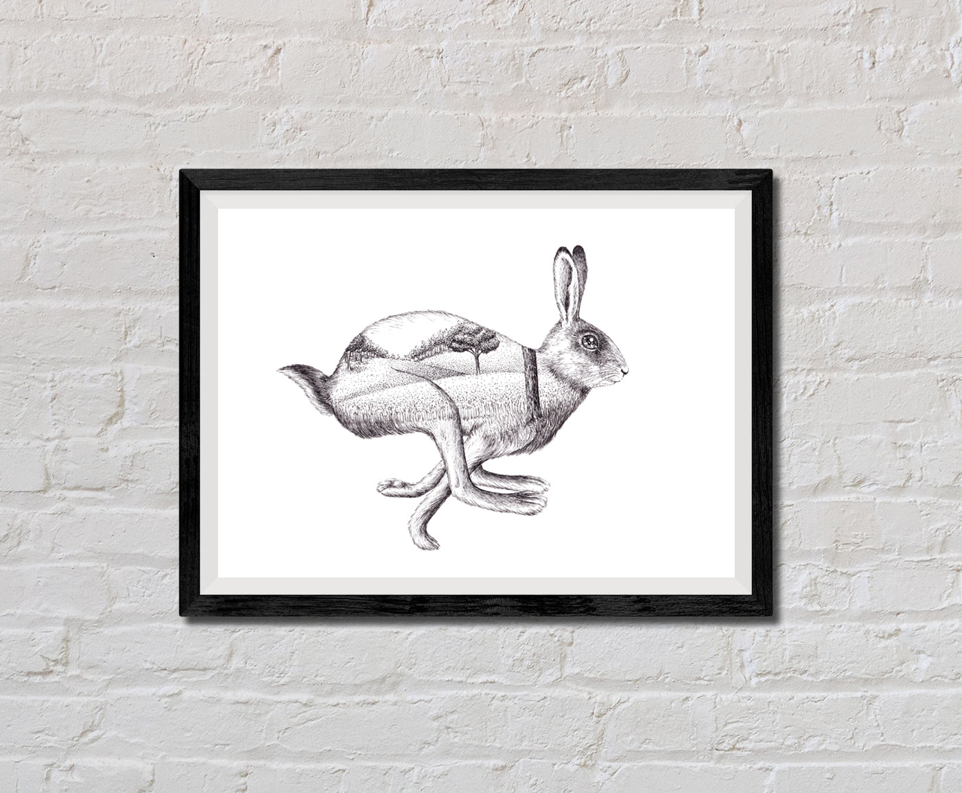 Rabbit